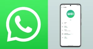 whatsapp Username Feature